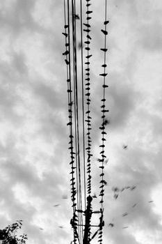 �齫��Ͳ��ǧ����Ƶ�������������л��·�ʽ�������Է������׷�����...